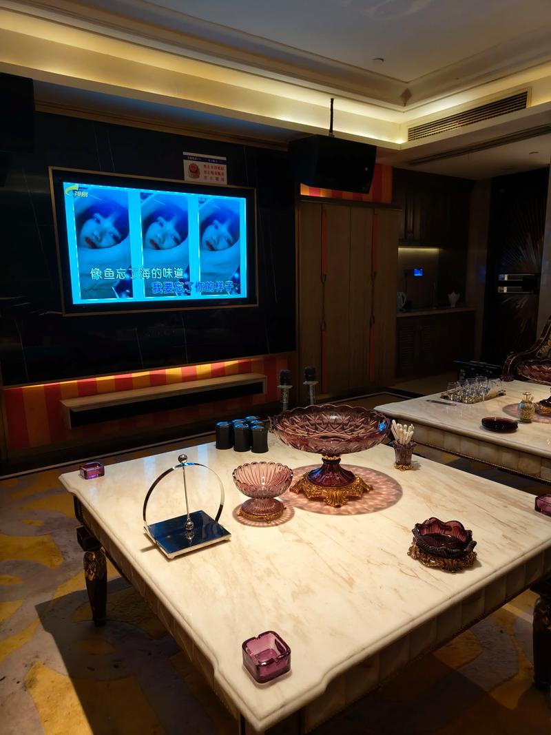 台州商务ktv首选高档商务ktv体验-仙居县ktv预定